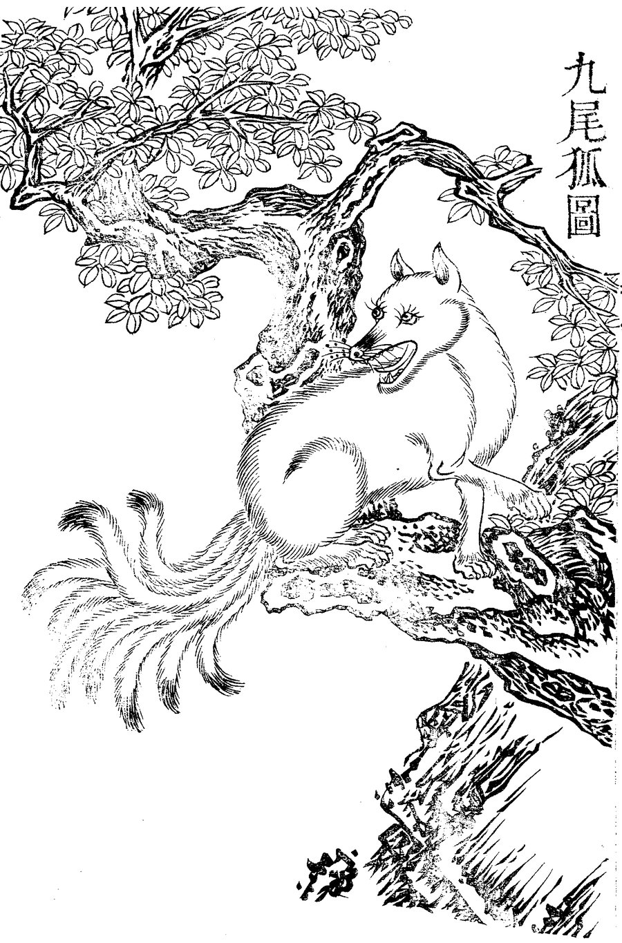 아홉수 뜻 — 『고금도서집성』에 실린 꼬리 아홉 달린 여우 그림 「구미호도」